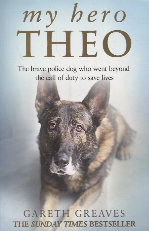 ΠΠ½ΠΈΠ³Π° My Hero Theo () β 1