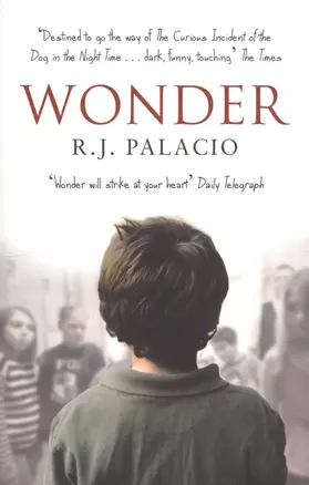 Wonder — 2395949 — 1