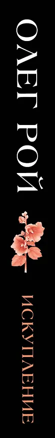 Книга Искупление (Олег Рой) — 3