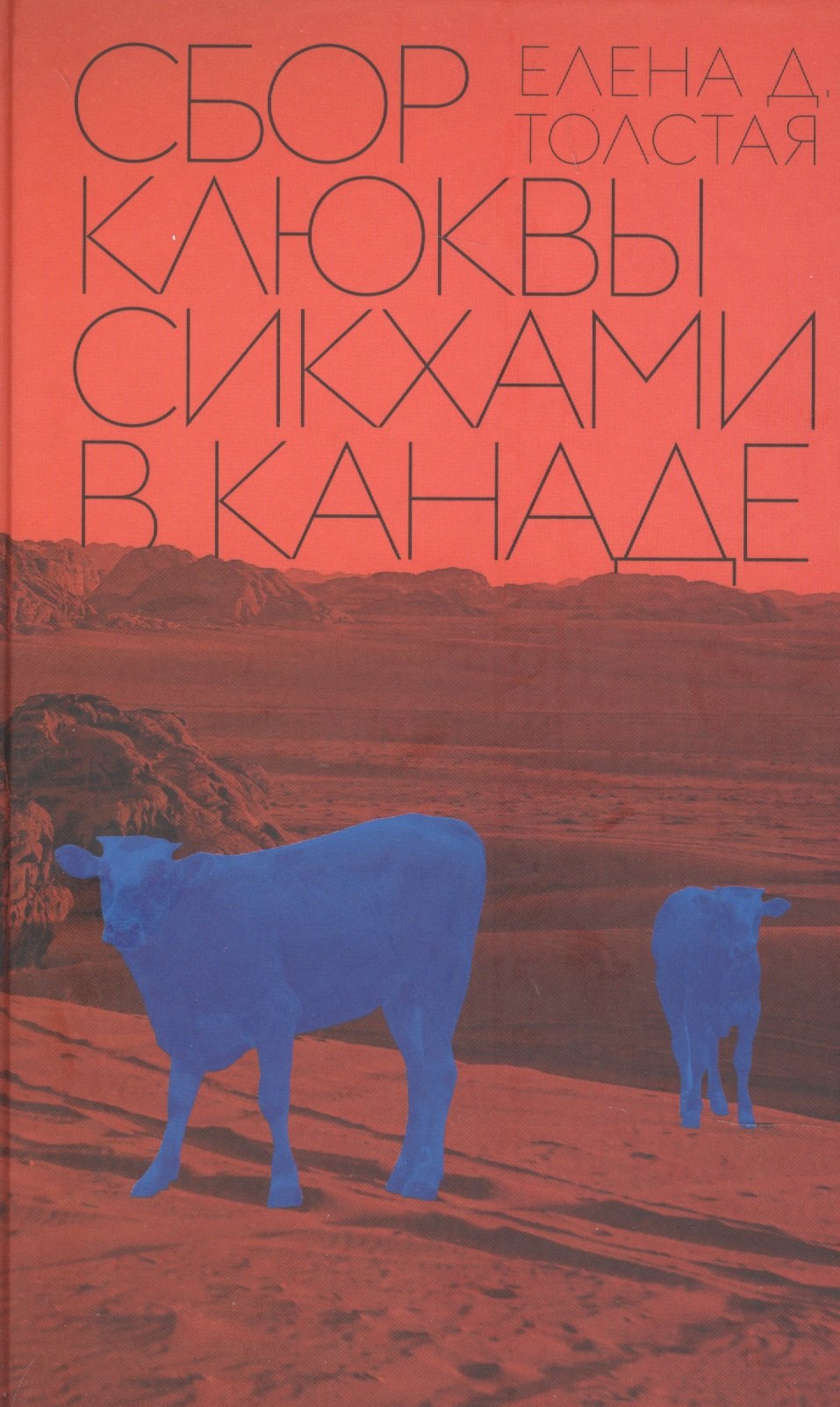 

Сбор клюквы сикхами в Канаде