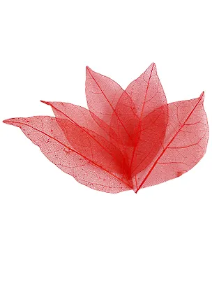 Листья скелетированные в ОРР с подвесом, 5 шт, 7 см, красные 2589985