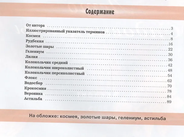 Книга Цветы из бисера Времена года Лето Садовые цветы (Коссова) (Татьяна Коссова) — 2