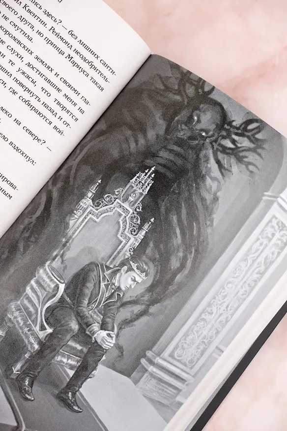 Книга Сумерки Баригора (Софья Соломонова) — 15
