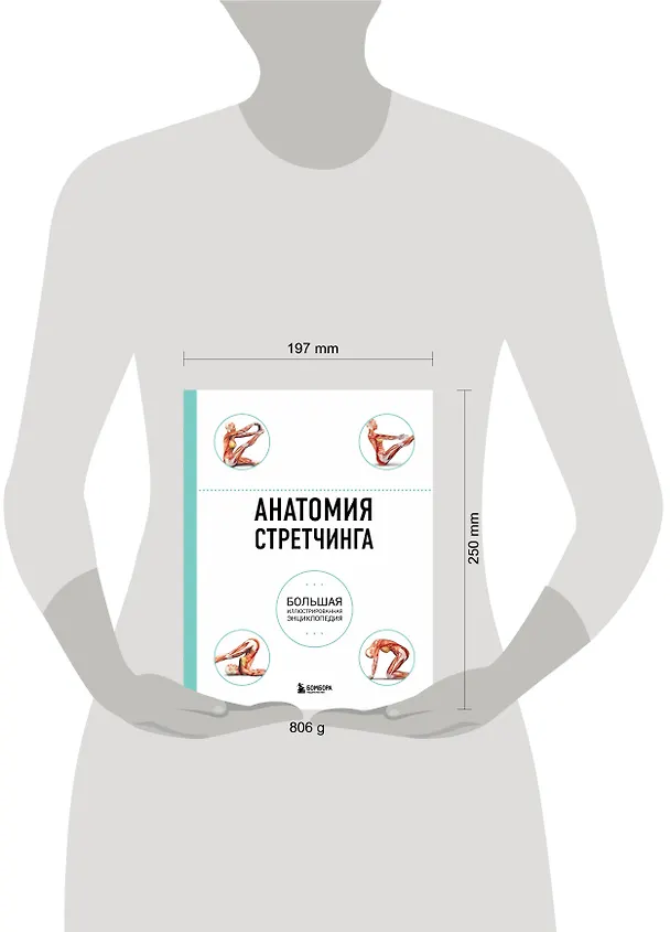Книга Анатомия стретчинга. Большая иллюстрированная энциклопедия (Н.А. Татаренко, Татьяна Коробкина) — 8