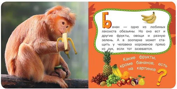 Книга Обезьяна (Наталия Волкова) — 2