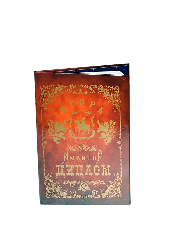 Диплом именной «Кристина», Мастер 2402866 — 1