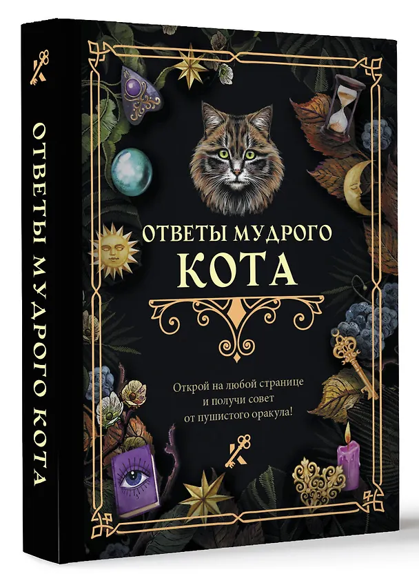 Книга Ответы мудрого кота () — 5