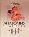

Анатомия человека