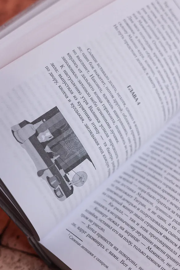 Книга С неба упали три яблока. Люди, которые всегда со мной. Зулали (Наринэ Абгарян) — 13