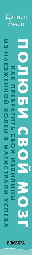 Книга Полюби свой мозг. Как превратить свои извилины из наезженной колеи в магистрали успеха (Дэниэл Дж. Амен) — 3