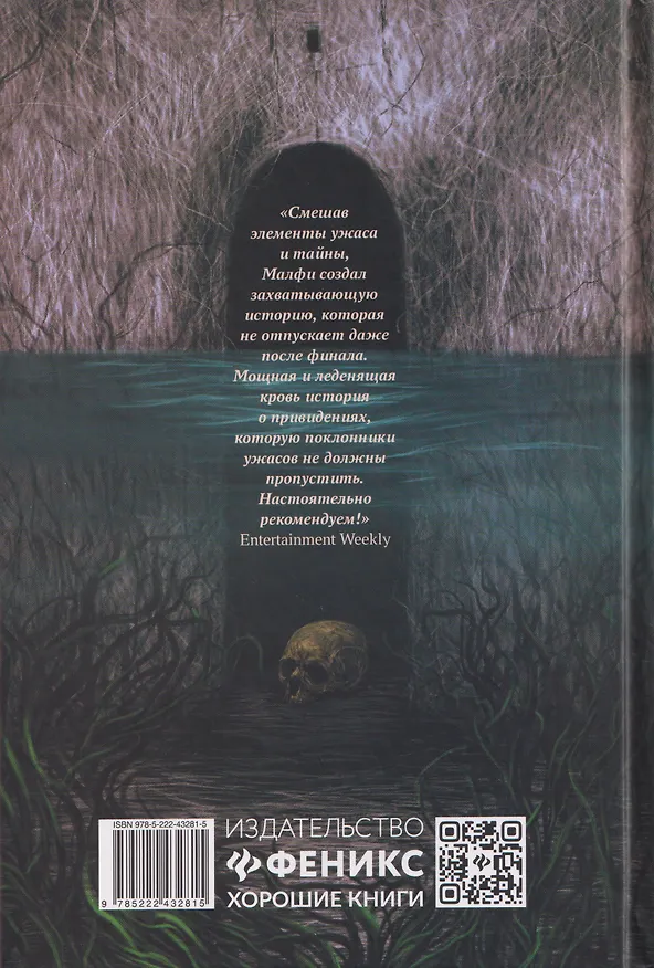 Книга Озеро призраков (Рональд Малфи) — 2