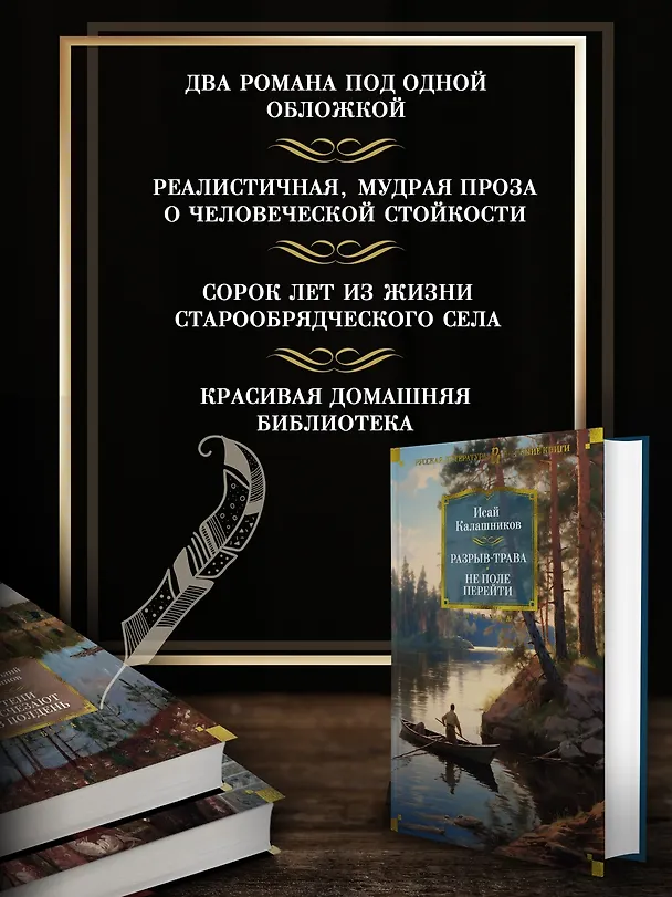 Книга Разрыв-трава. Не поле перейти (Исай Калашников) — 5