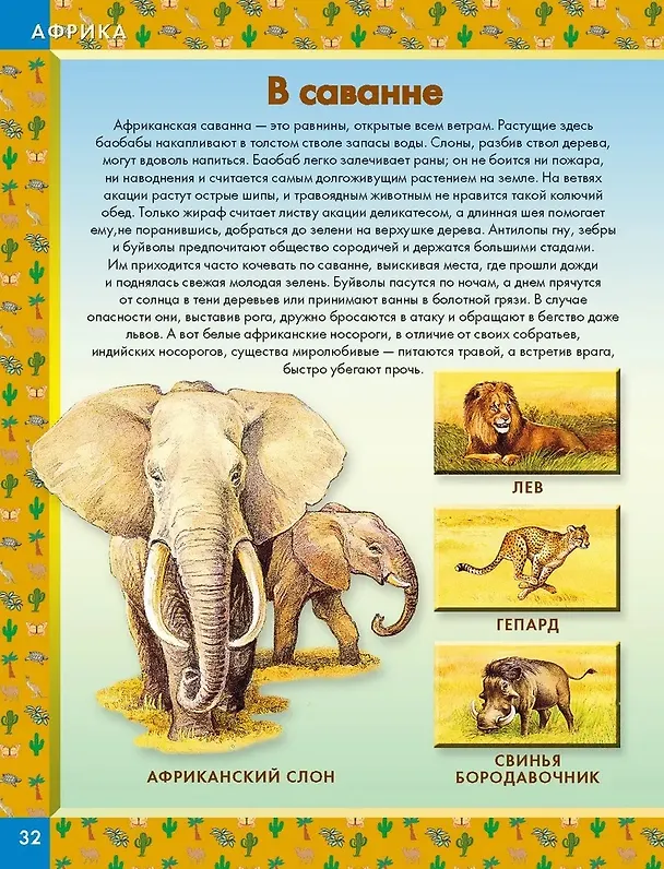 Книга Животные мира. Кто живет на нашей планете (Е. Ярошенко) — 6
