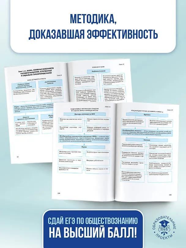 Книга ЕГЭ. Обществознание в инфографике (Пётр Баранов) — 8