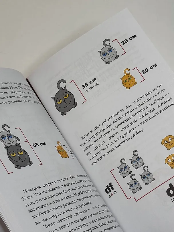 Книга Статистика и котики (Владимир Савельев) — 13