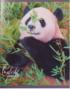 Тетрадь в клетку Unnika, "Очаровательные панды", 96 листов, в ассортименте