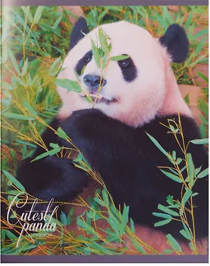 Тетрадь в клетку Unnika, "Очаровательные панды", 96 листов, в ассортименте 244093