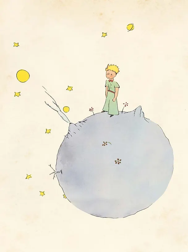 Книга Маленький принц (Антуан де Сент-Экзюпери) — 6