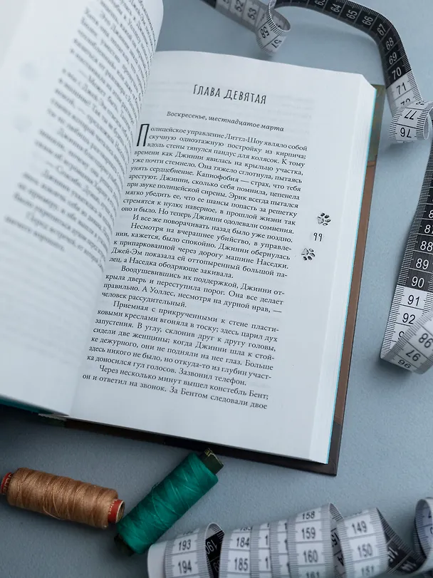 Книга Убийца в домашних тапочках (Аманда Эшби) — 10