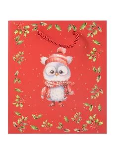 Пакет А5 23*18*10 "Совёнок" НГ, бум.мат.ламинат