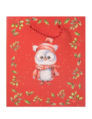 Пакет А5 23*18*10 "Совёнок" НГ, бум.мат.ламинат 3103185