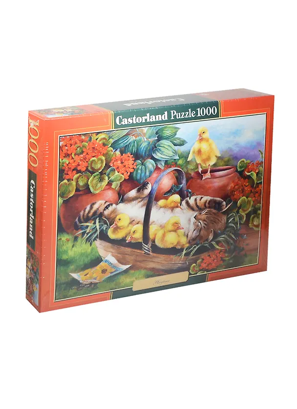 Пазлы 1000 C-102877 Время игры (коробка) (Castorland) 2431359 — 1