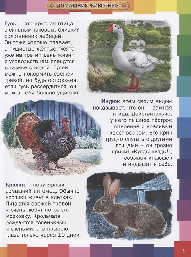 Книга Животные мира.Энциклопедия для самых маленьких () — 4