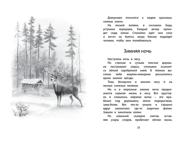 Книга Год в лесу (Иван Соколов-Микитов) — 12