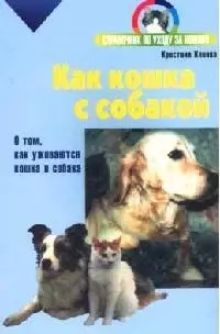 Как кошка с собакой. О том, как уживаются кошка с собакой — 2039150 — 1