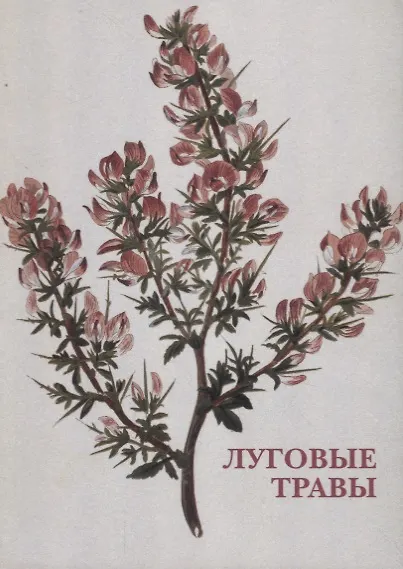 Книга Луговые травы () — 1