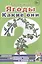 Ягоды. Какие они? Знакомство с окружающим миром и развитие речи — 2628850 — 1