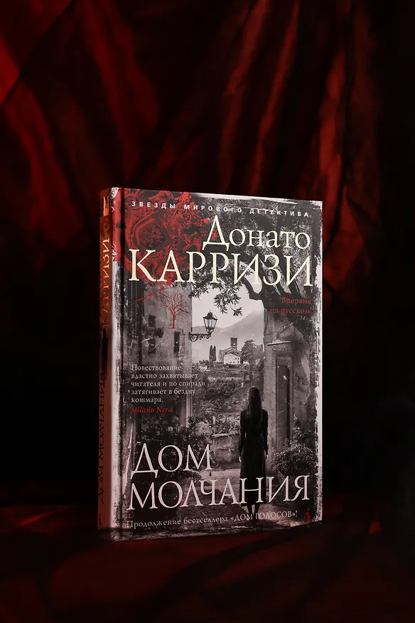 Книга Дом молчания (Донато Карризи) — 13