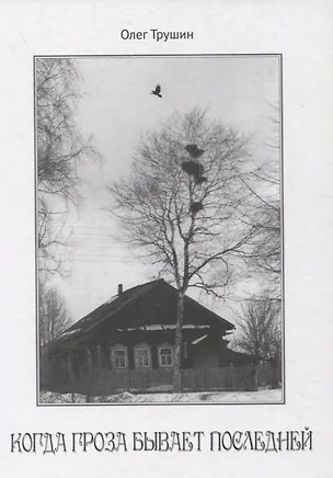 Книга Когда гроза бывает последней ()