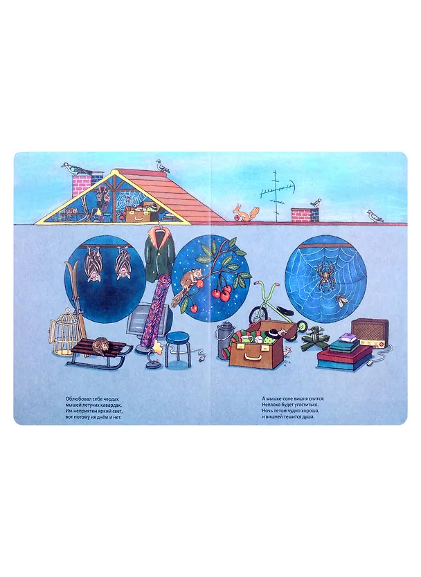 Книга Такой вот дом (Сюзанне Бернер Ротраут) — 3
