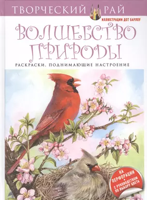 Волшебство природы. Раскраски, поднимающие настроение (с перфорацией) — 2509224 — 1