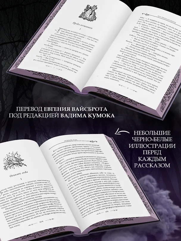 Книга Меч предназначения (с мерчем) (Анджей Сапковский) — 9
