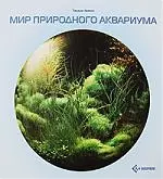 Мир природного аквариума — 2181847 — 1