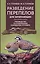 Разведение перепелов для начинающих. Руководство по содержанию в домашних условиях — 3137530 — 1