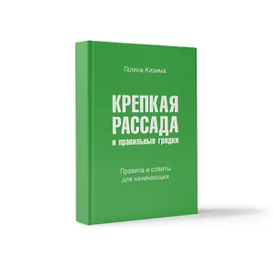 Крепкая рассада и правильные грядки. Правила и советы для начинающих