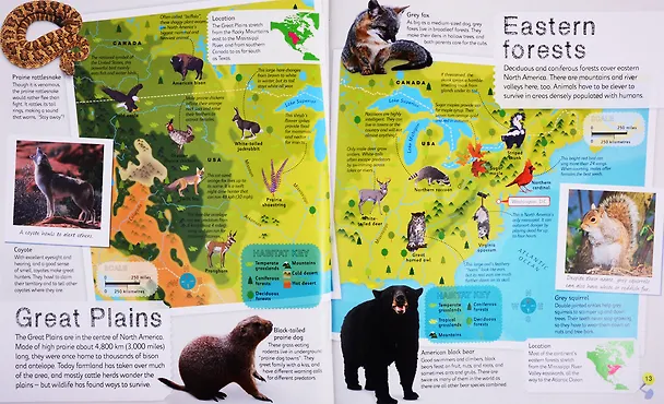 Книга Children's Illustrated Animal Atlas () — 5