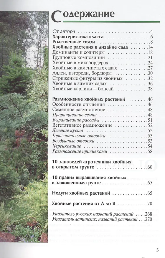 Книга Все хвойные растения () — 2