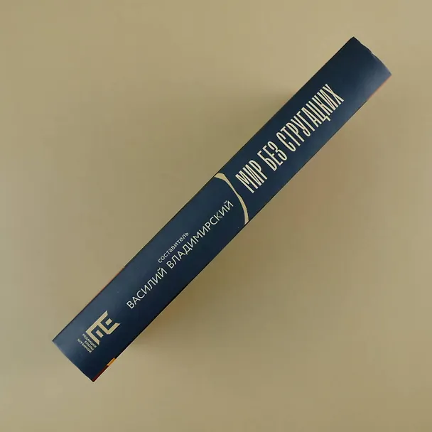 Книга Мир без Стругацких (Владимир Березин, Алексей Сальников, Сергей Кузнецов, Эдуард Веркин, Дарья Бобылева, Тимур Максютов, Ника Батхен, Елена Клещенко, Ася Михеева, Николай Караев, К.А.Терина) — 11