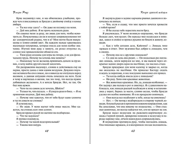 Книга Когда грянет шторм (#2) (Эмери Роуз) — 10