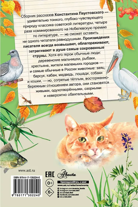 Книга Заячьи лапы (Константин Паустовский) — 2