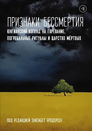 Книга Признаки бессмертия. Юнгианский взгляд на горевание, погребальные ритуалы и царство мертвых (Э.К. Бродерсен)