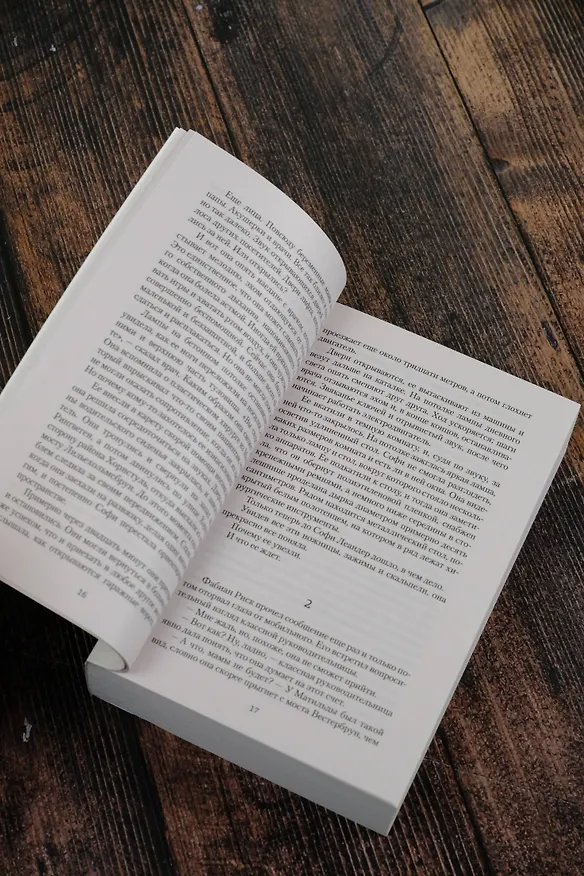 Книга Девятая могила (Стефан Анхем) — 8