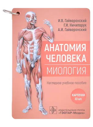 Книга Анатомия человека. Миология. Карточки: наглядное учебное пособие (33 двусторонних карточки) (Иван Гайворонский)
