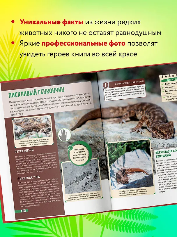 Книга Красная книга России: животные, растения, птицы, насекомые. Энциклопедия редких видов (Дмитрий Лукашанец, Екатерина Лукашанец) — 8