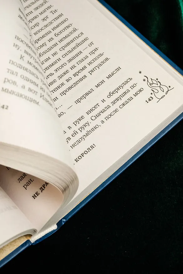 Книга Не драконьте короля! (Наталья Мамлеева) — 14