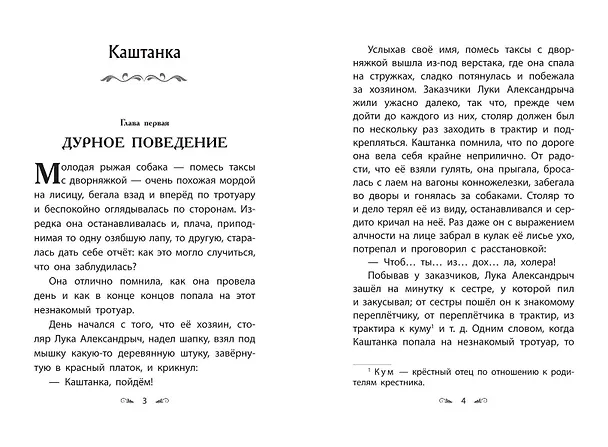 Книга Каштанка. Рассказы (Антон Чехов) — 10